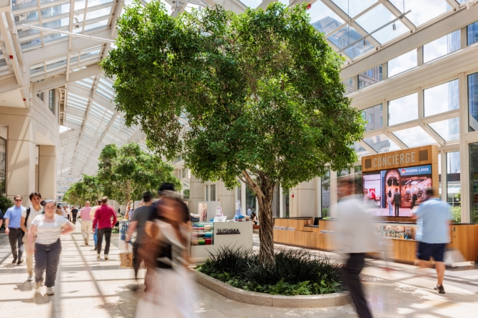 Conference hall filled with attendees